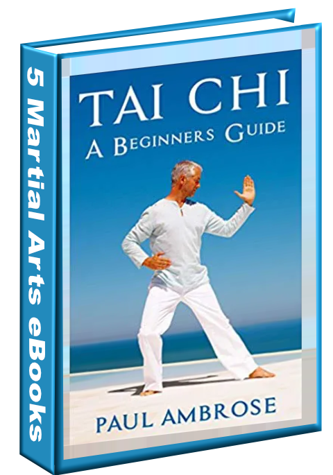 5 Martial Arts Ebooks